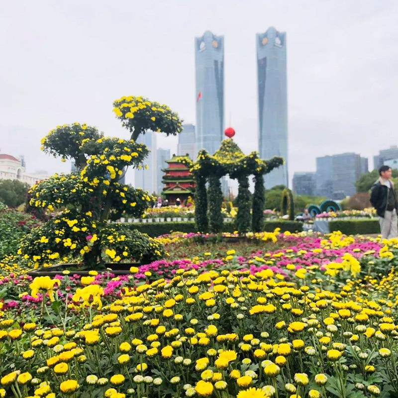 工程案例